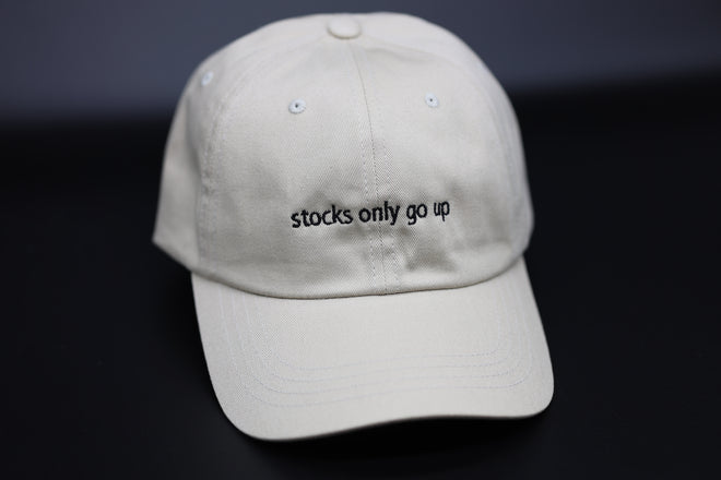 stocks only go up