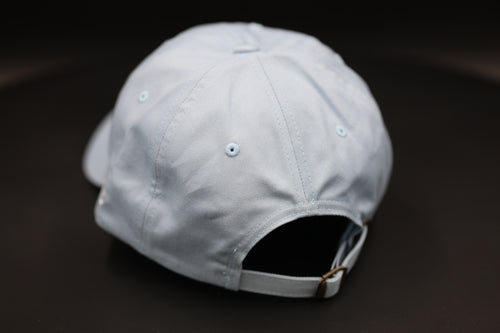 Bitcoin (Baby Blue)